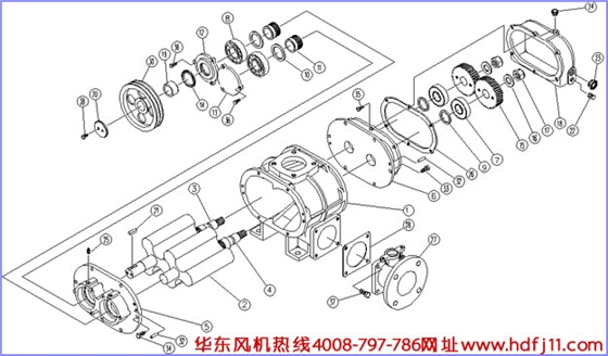 羅茨風機結構圖.jpg