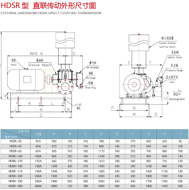 羅茨風機（直聯(lián)傳動）