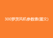 300羅茨鼓風(fēng)機(jī)參數(shù)型號.jpg